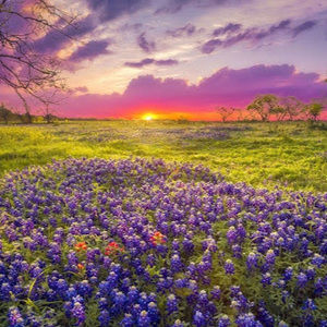 Meet your Posher, Avery